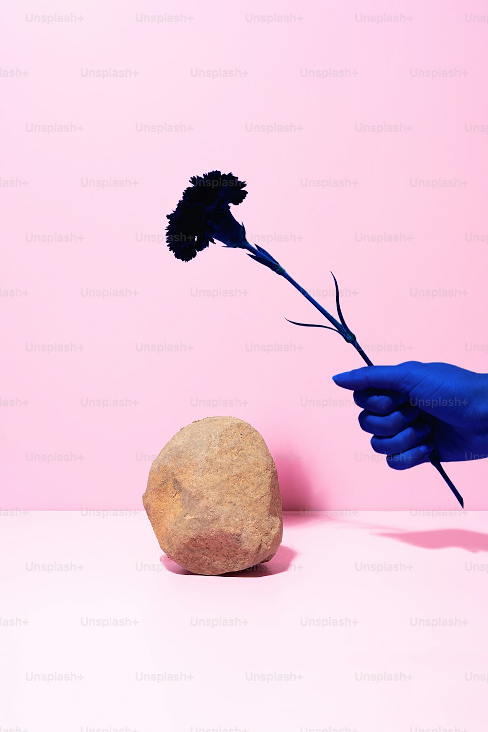 a person's hand holding a flower next to a rock