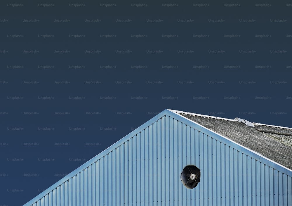 um pássaro está empoleirado no telhado de um edifício