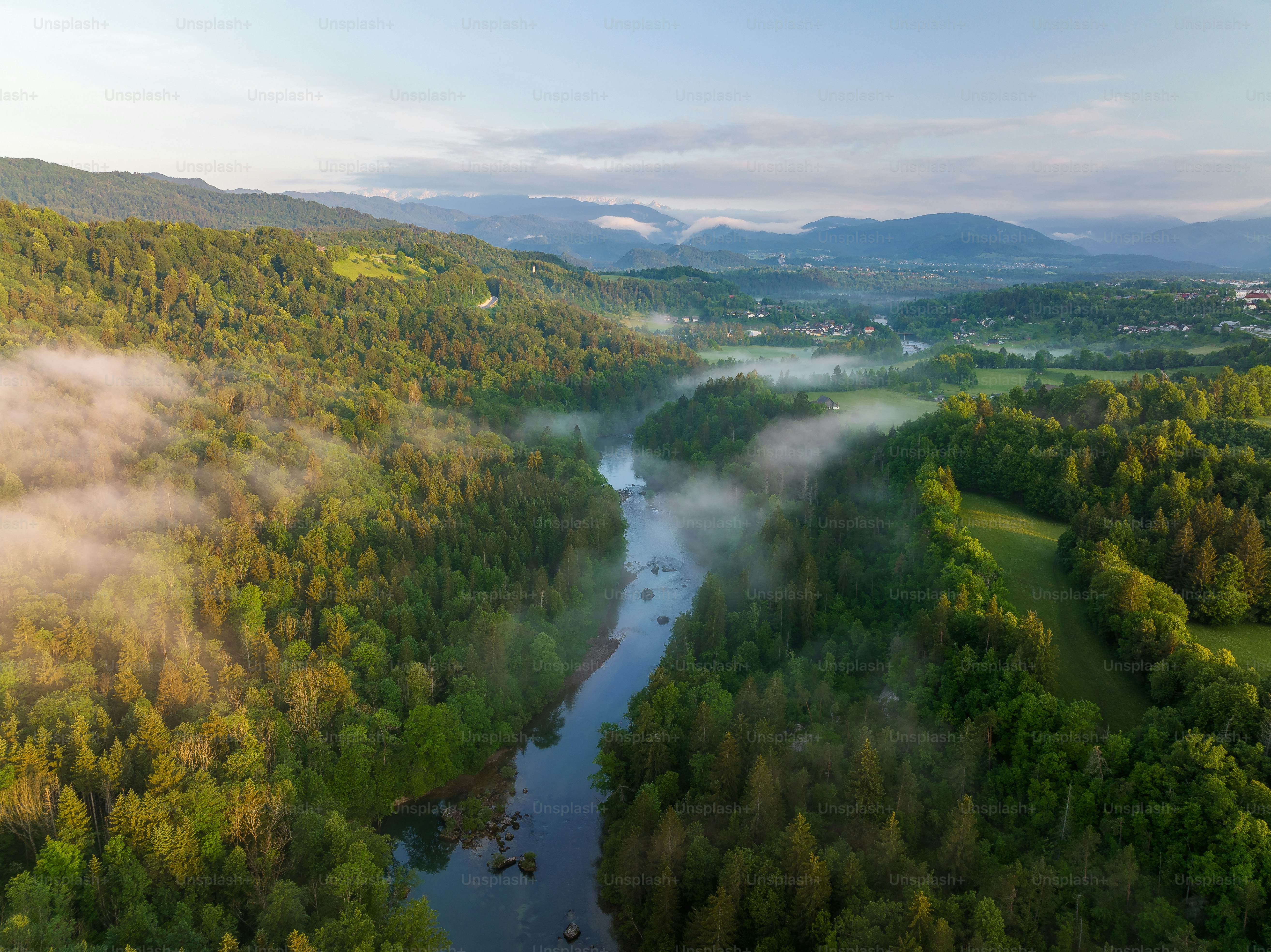 Un fiume che attraversa una lussureggiante foresta verde