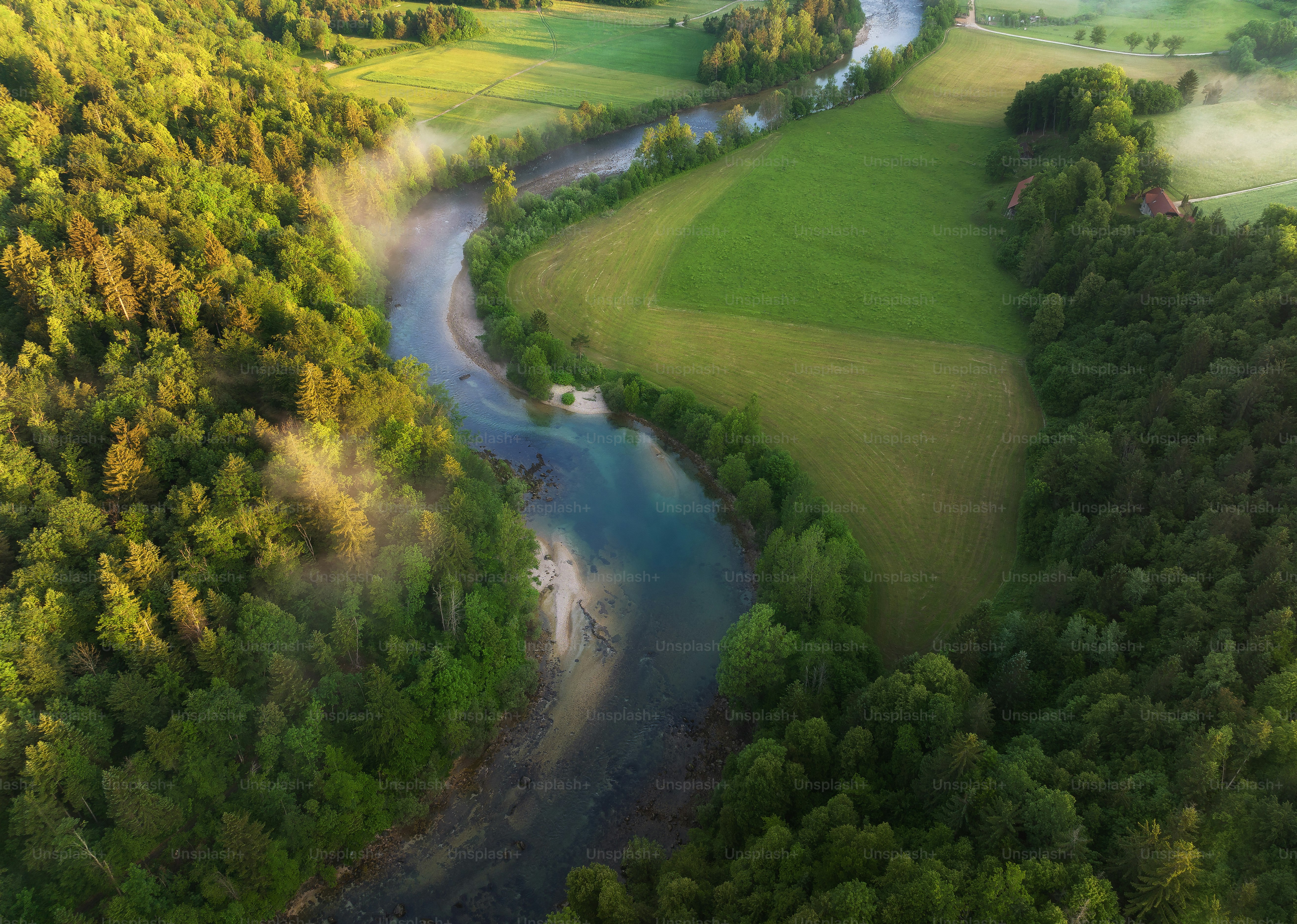 a river running through a lush green forest