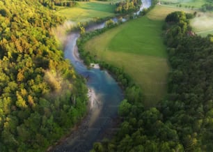 a river running through a lush green forest