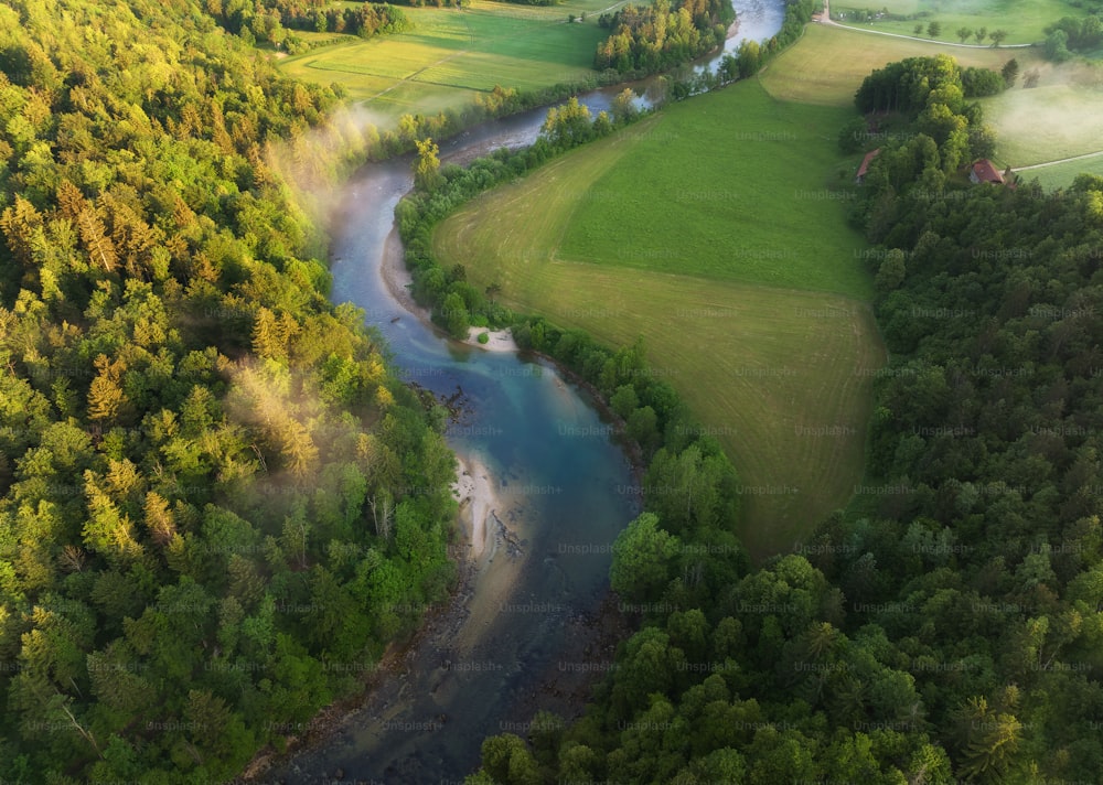 une rivière qui coule à travers une forêt verdoyante