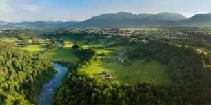 Un río que atraviesa un frondoso bosque verde