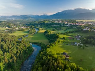 um rio que atravessa uma floresta verde exuberante