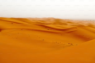 um grande grupo de dunas de areia no deserto