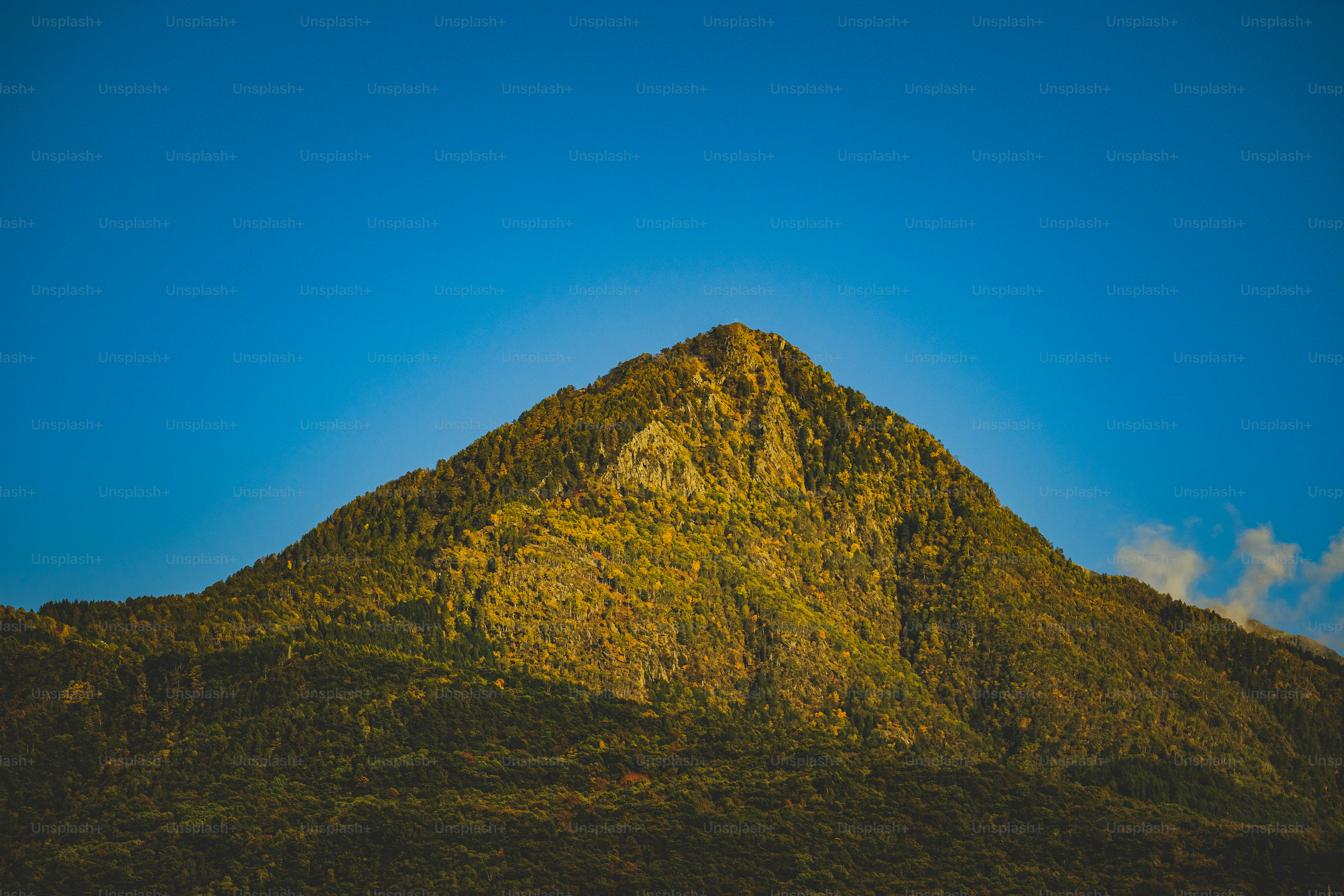 Peak Hill, New South Wales