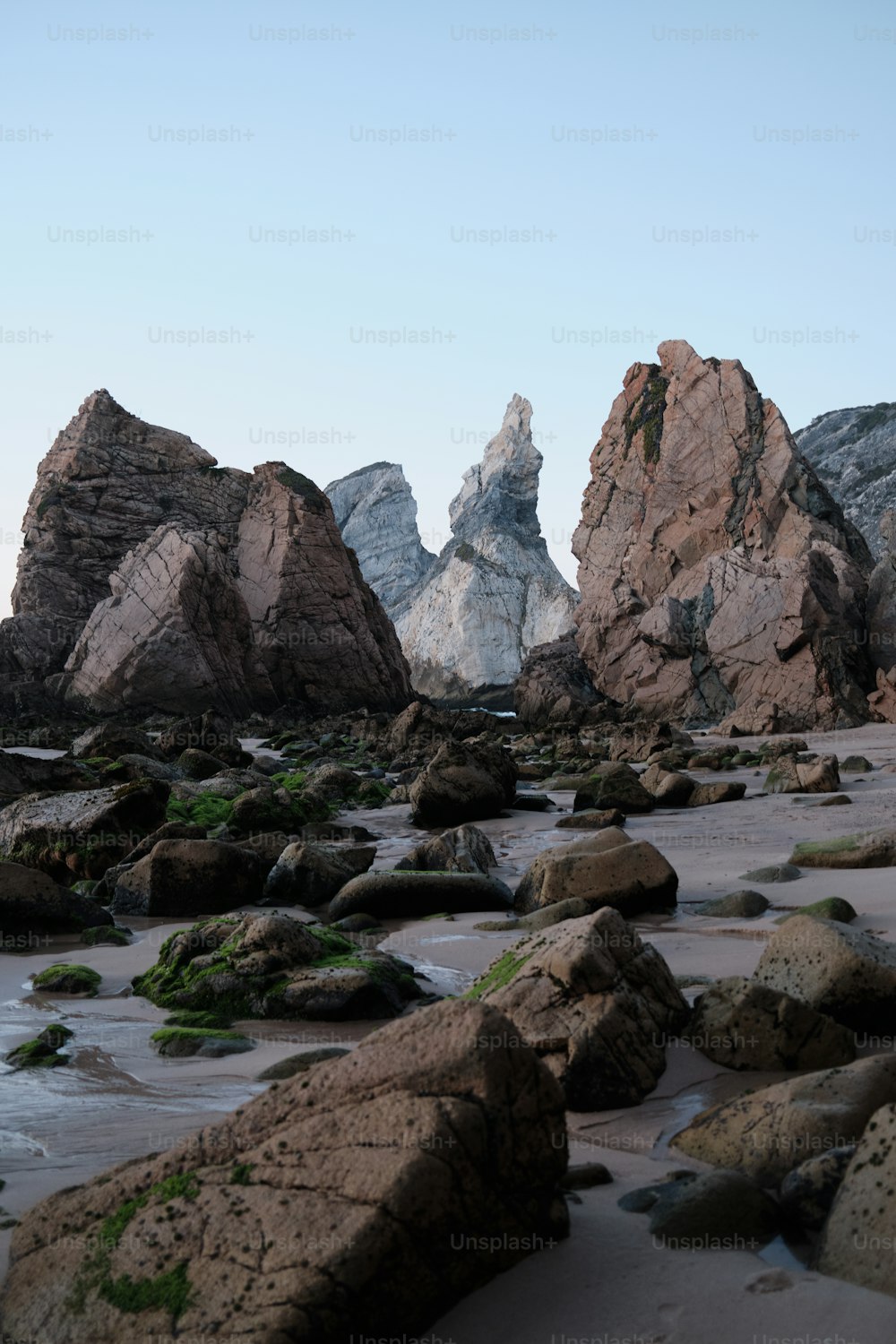 uma praia rochosa com rochas e algas em primeiro plano