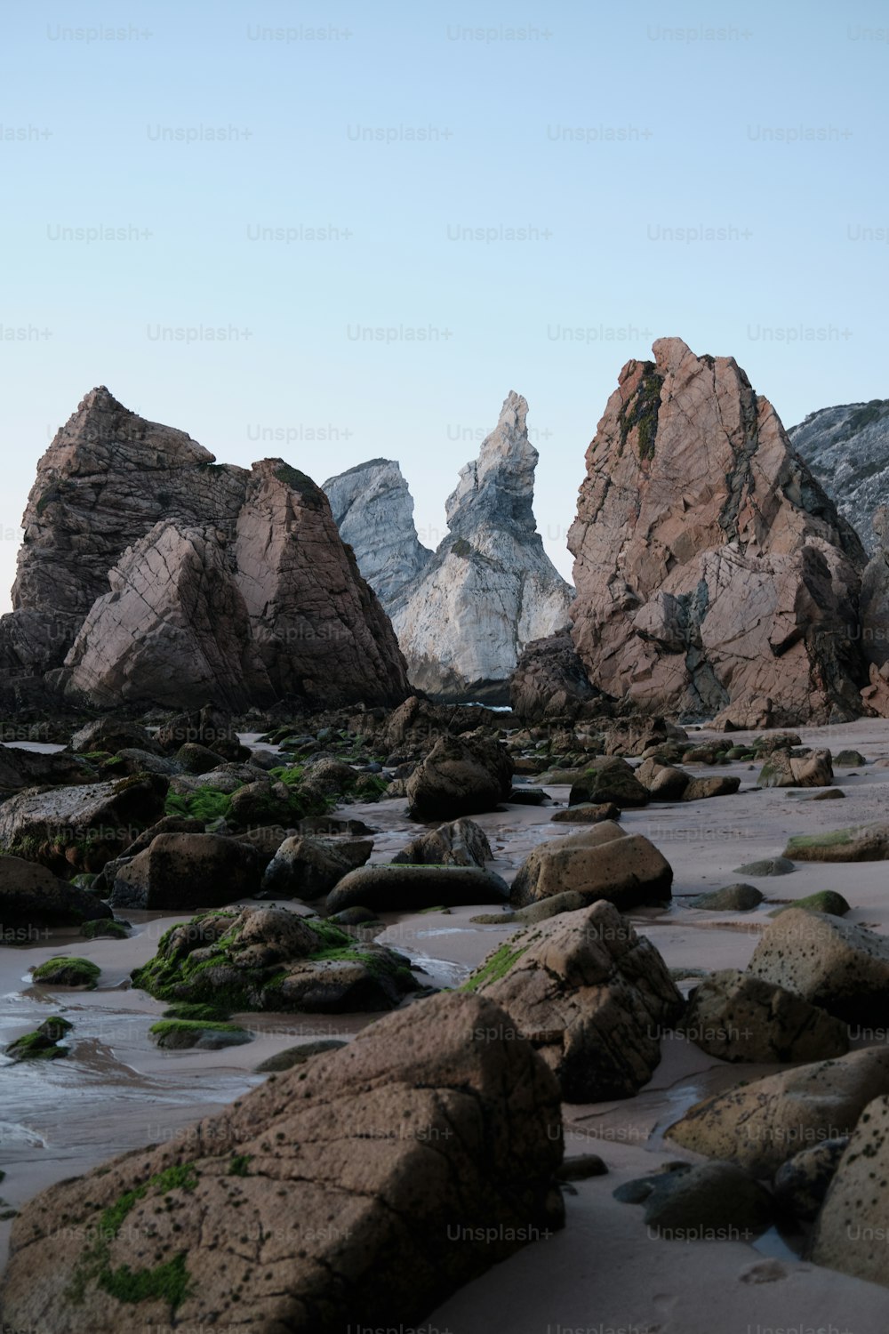 a rocky beach with rocks and seaweed in the foreground