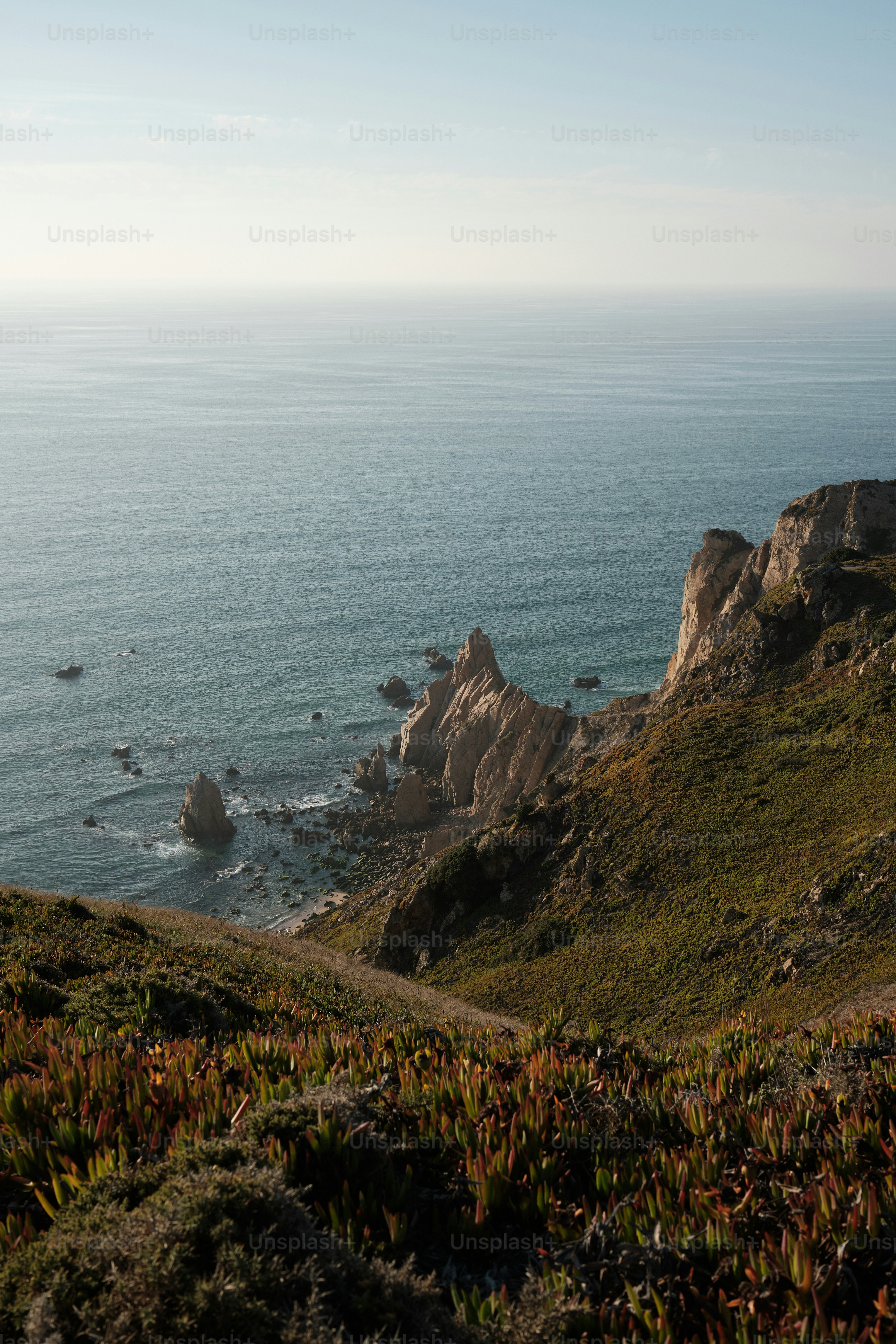 une vue d’un plan d’eau depuis une colline