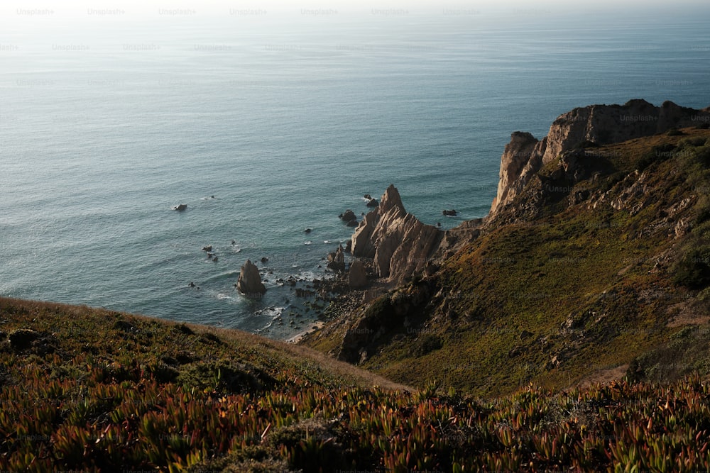 a view of the ocean from the top of a hill