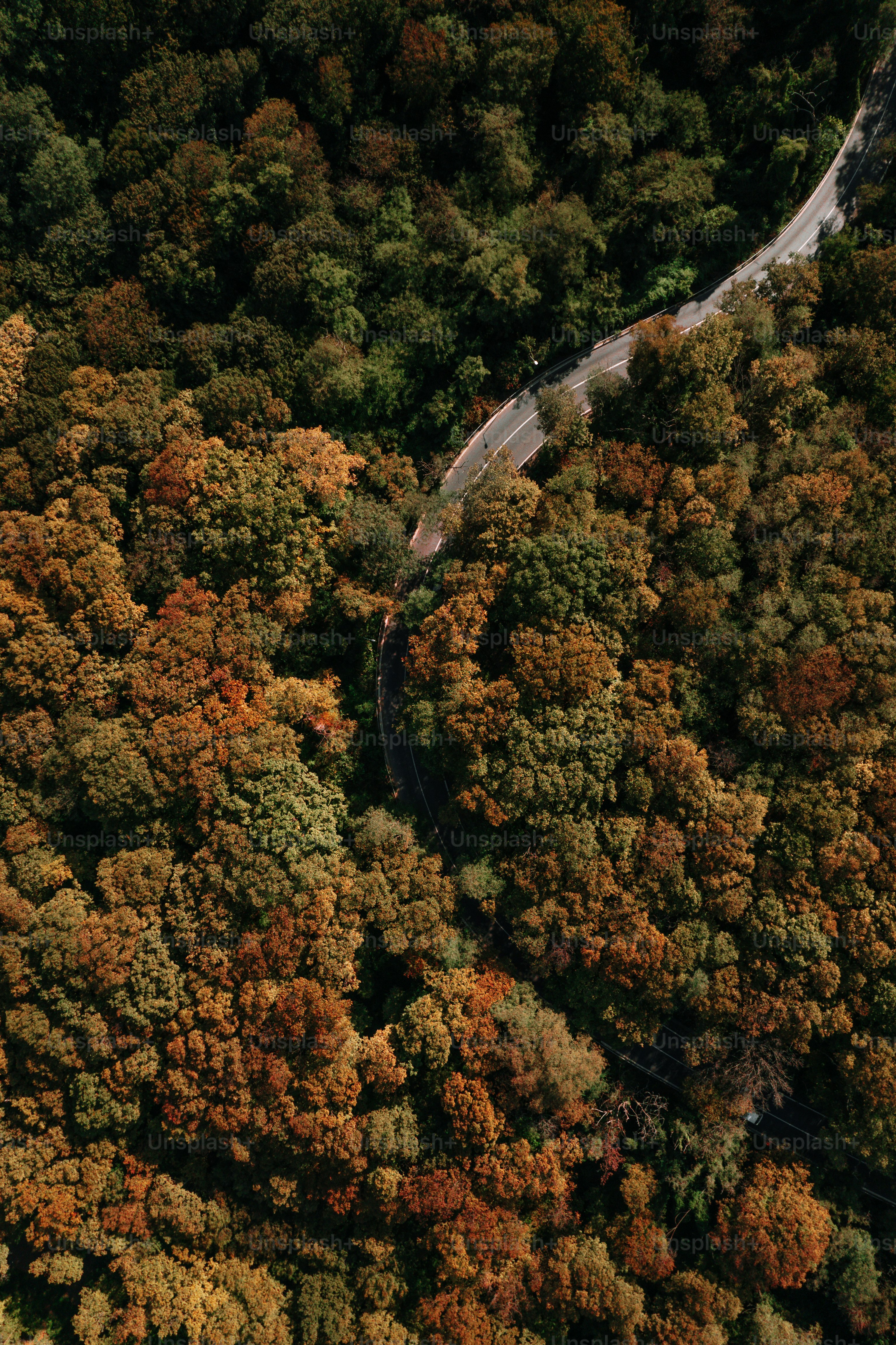 an aerial view of a winding road surrounded by trees