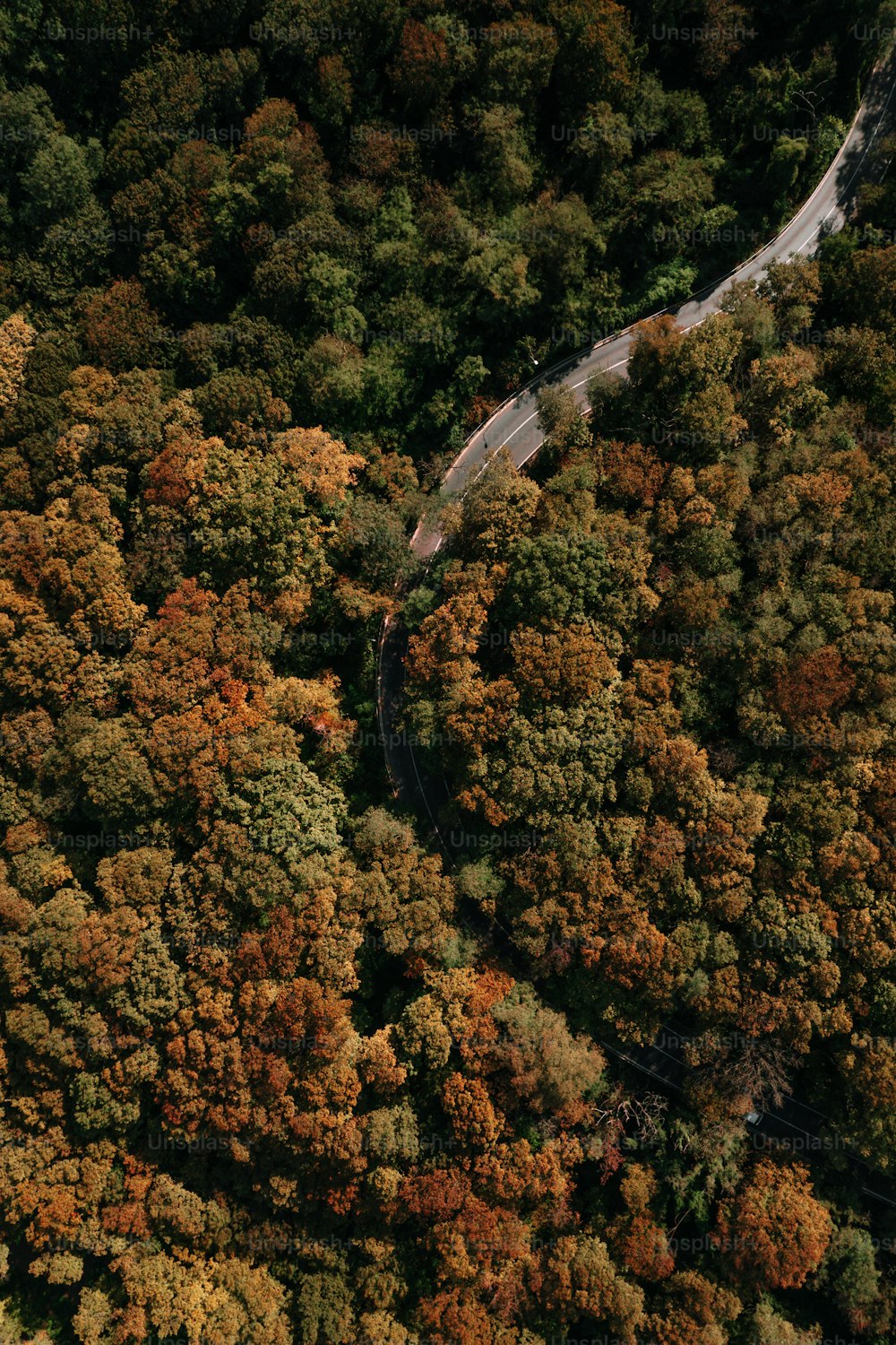 an aerial view of a winding road surrounded by trees