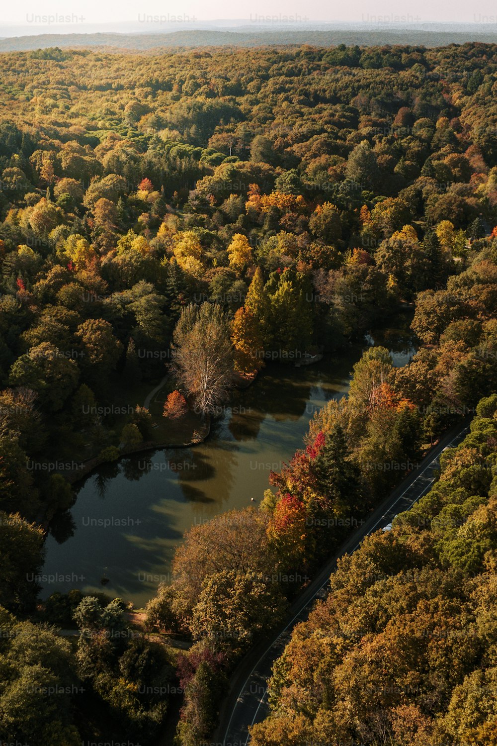 an aerial view of a road surrounded by trees