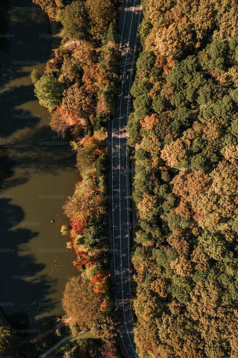 an aerial view of a road surrounded by trees