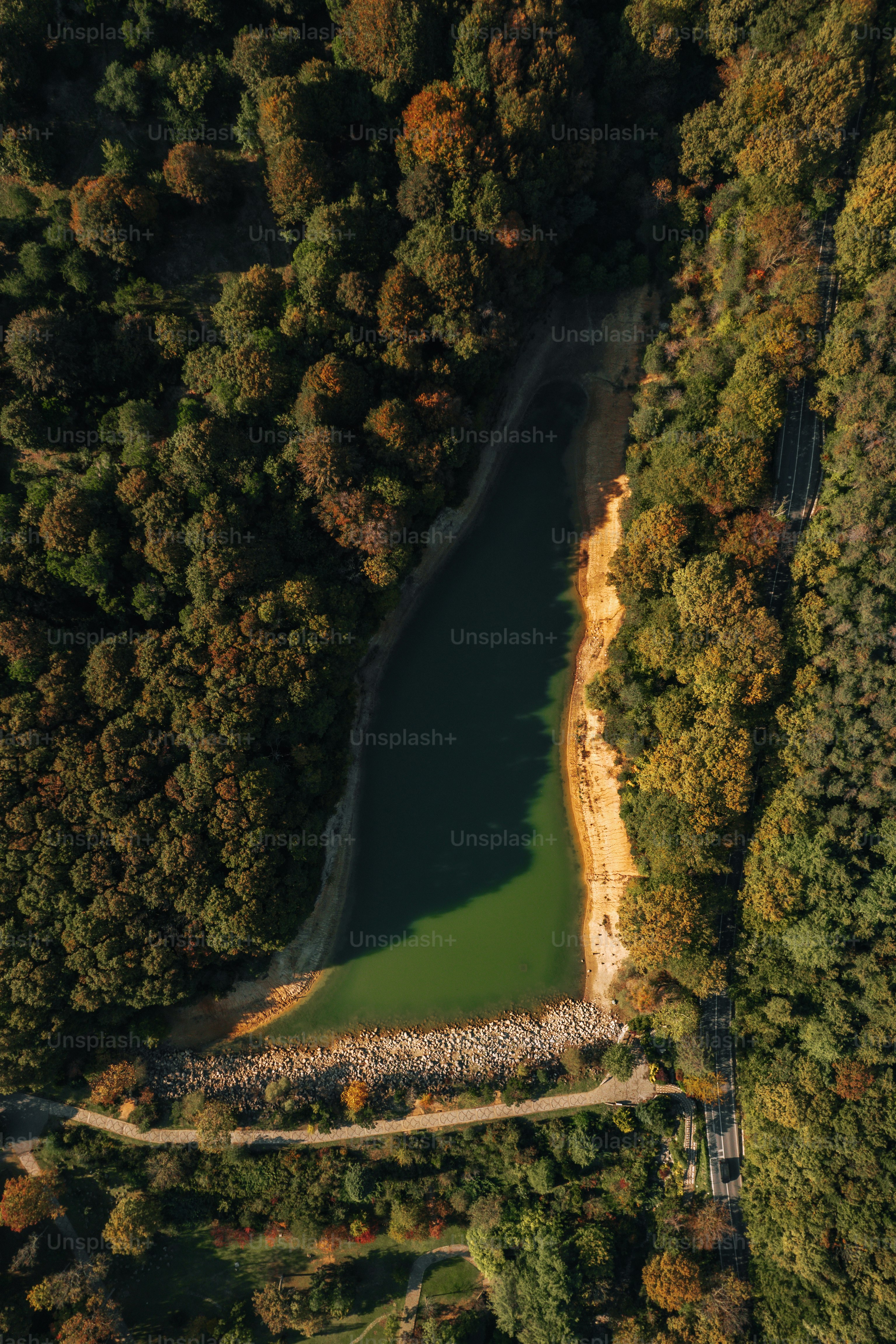 an aerial view of a lake surrounded by trees
