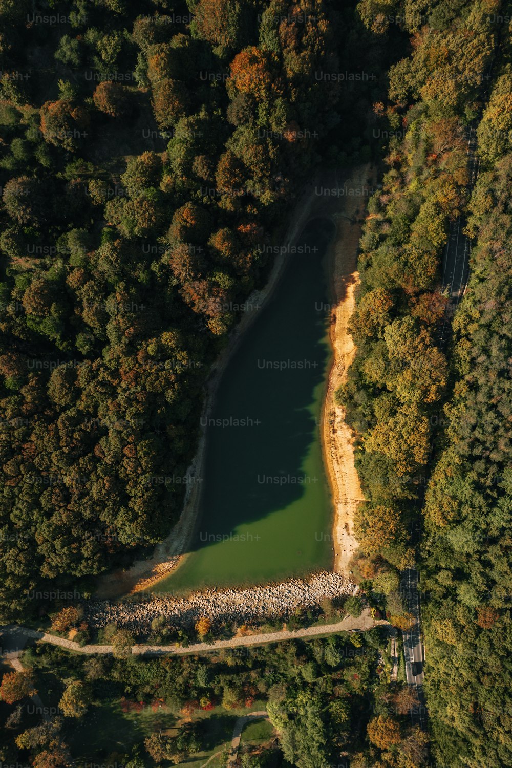 an aerial view of a lake surrounded by trees