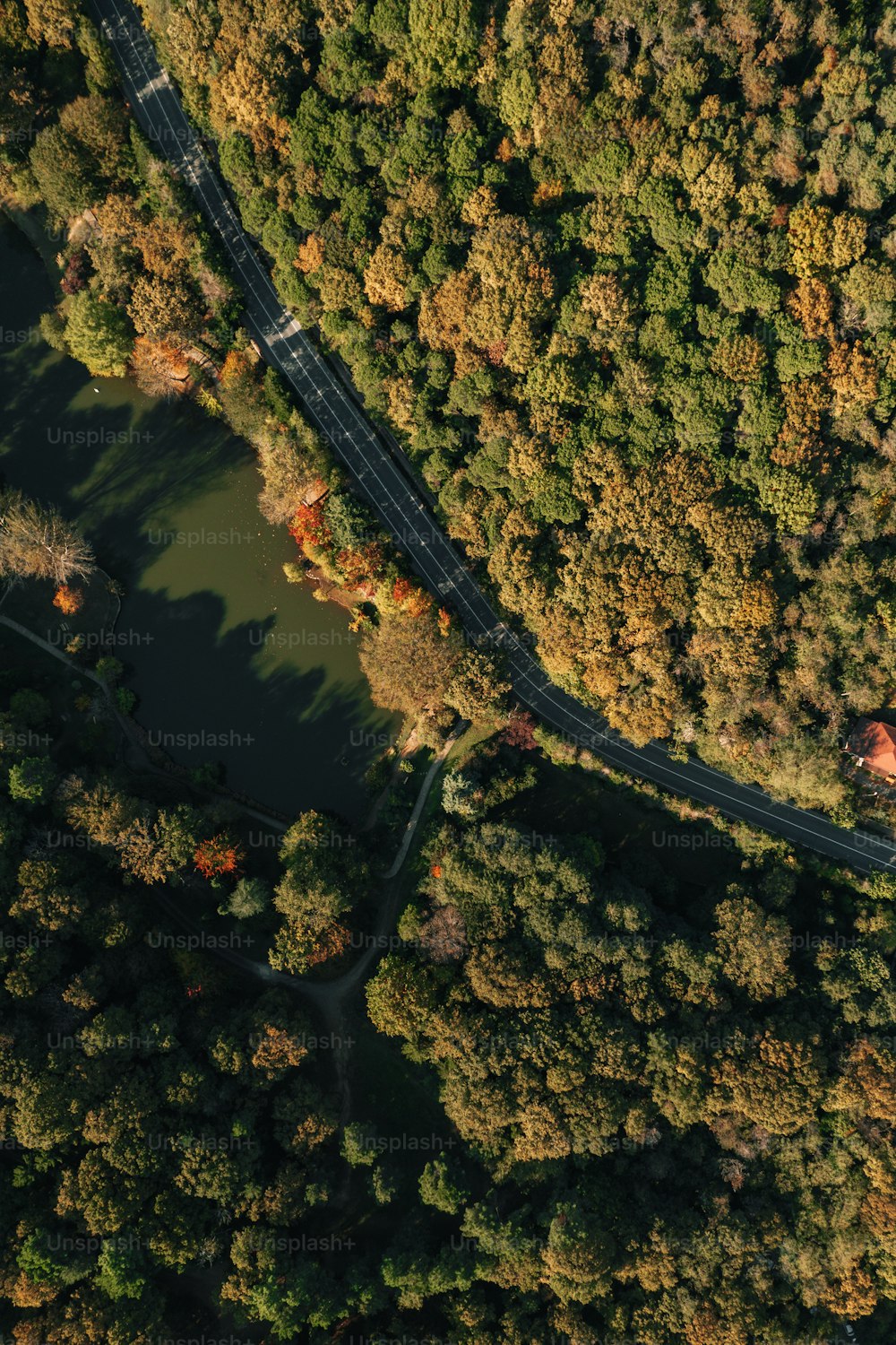 an aerial view of a road surrounded by trees