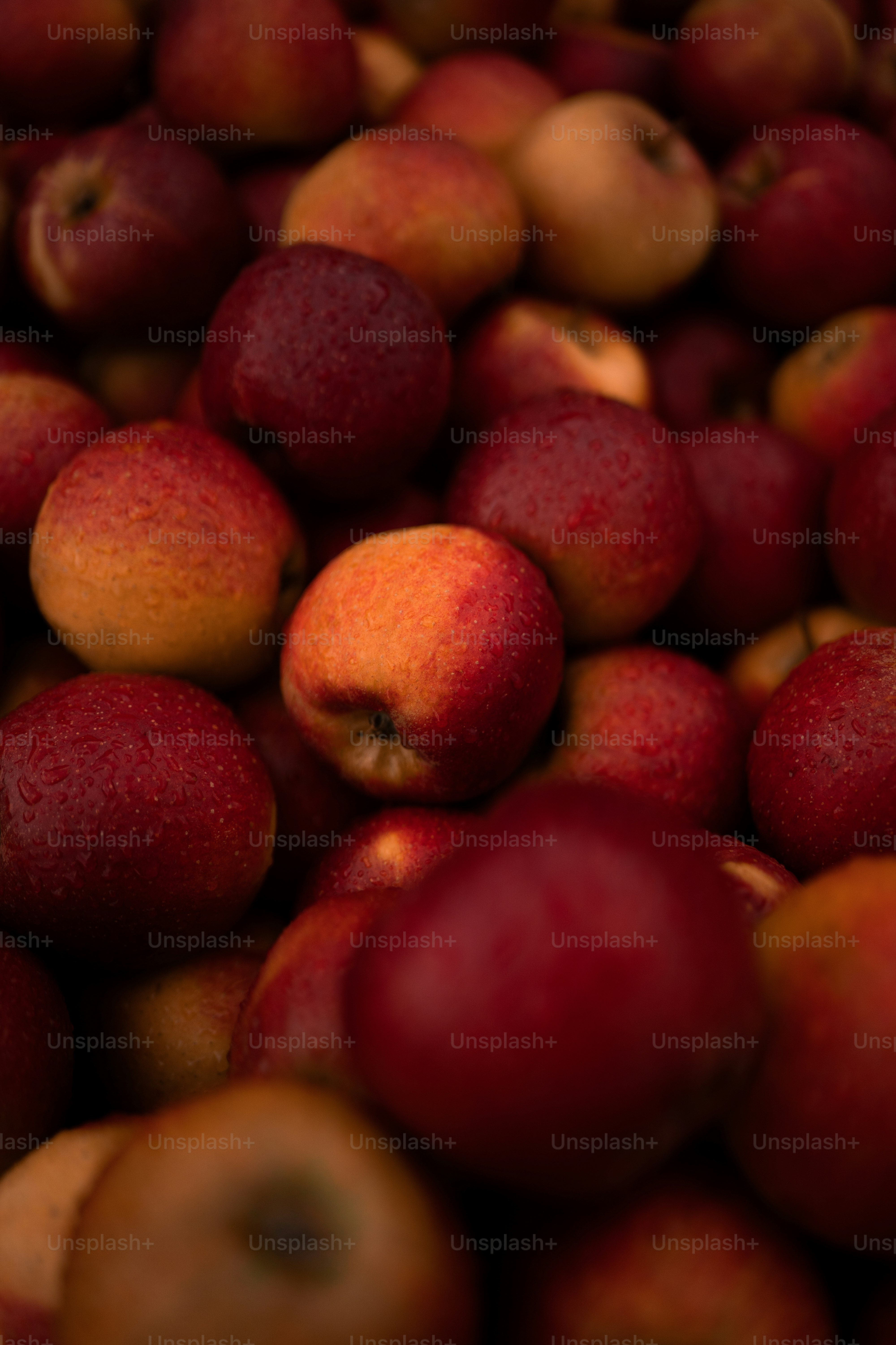 a pile of red apples sitting next to each other