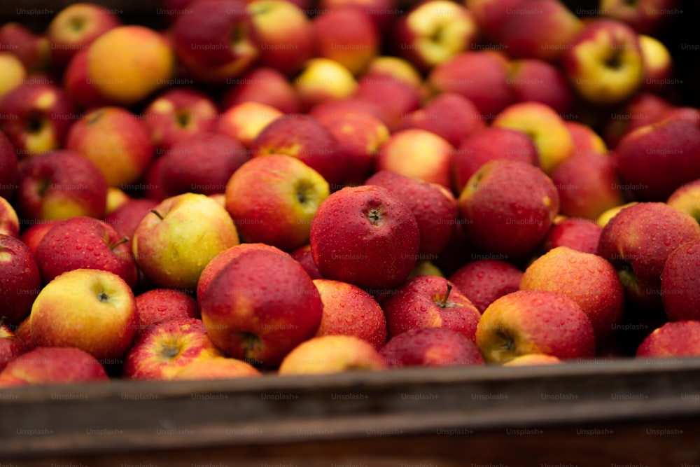 a pile of red and yellow apples in a bin