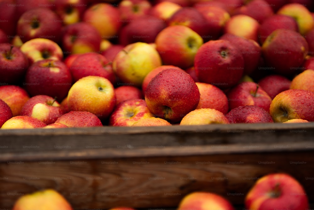 a crate full of red and yellow apples