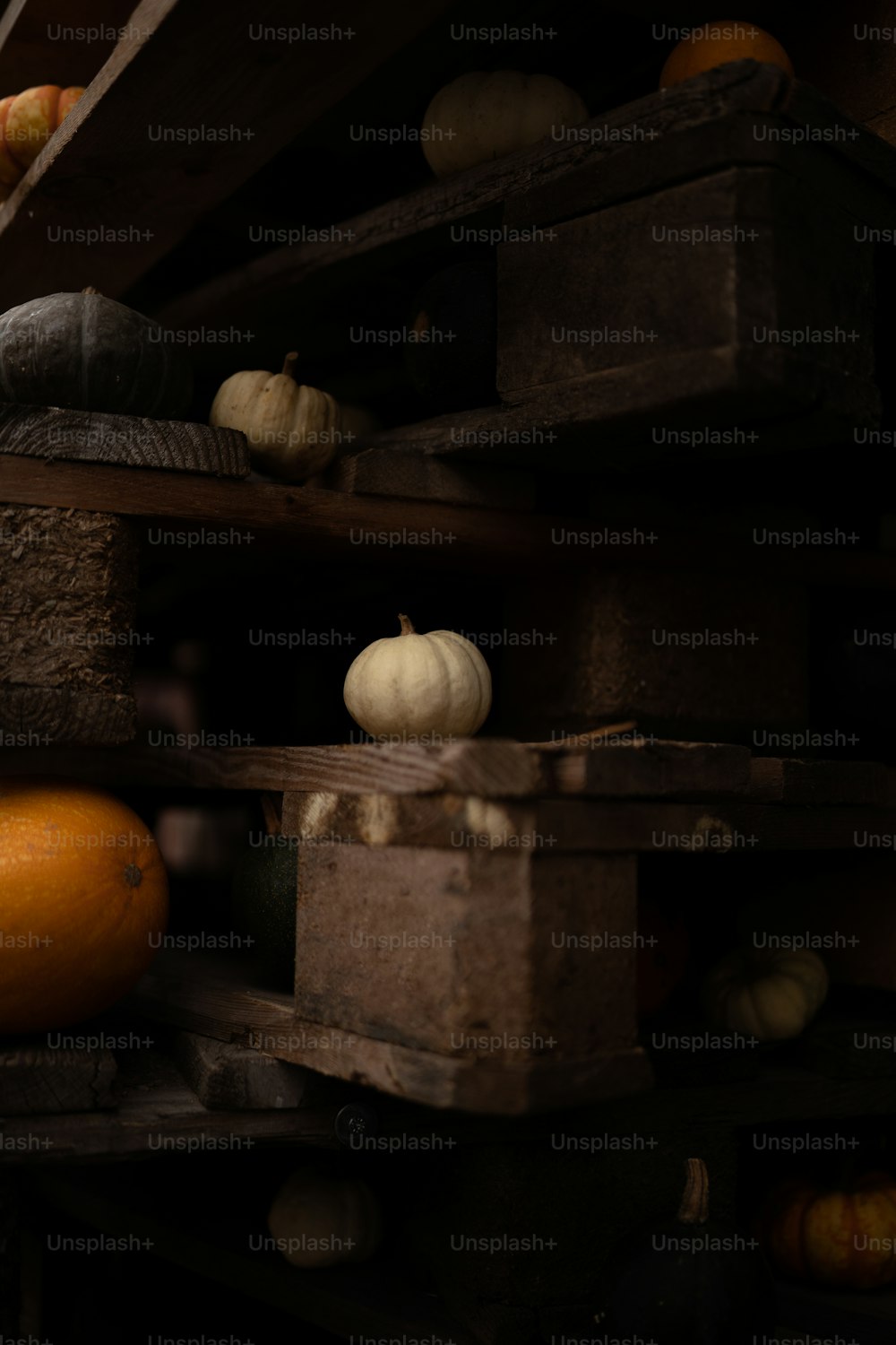 a shelf filled with lots of different types of pumpkins