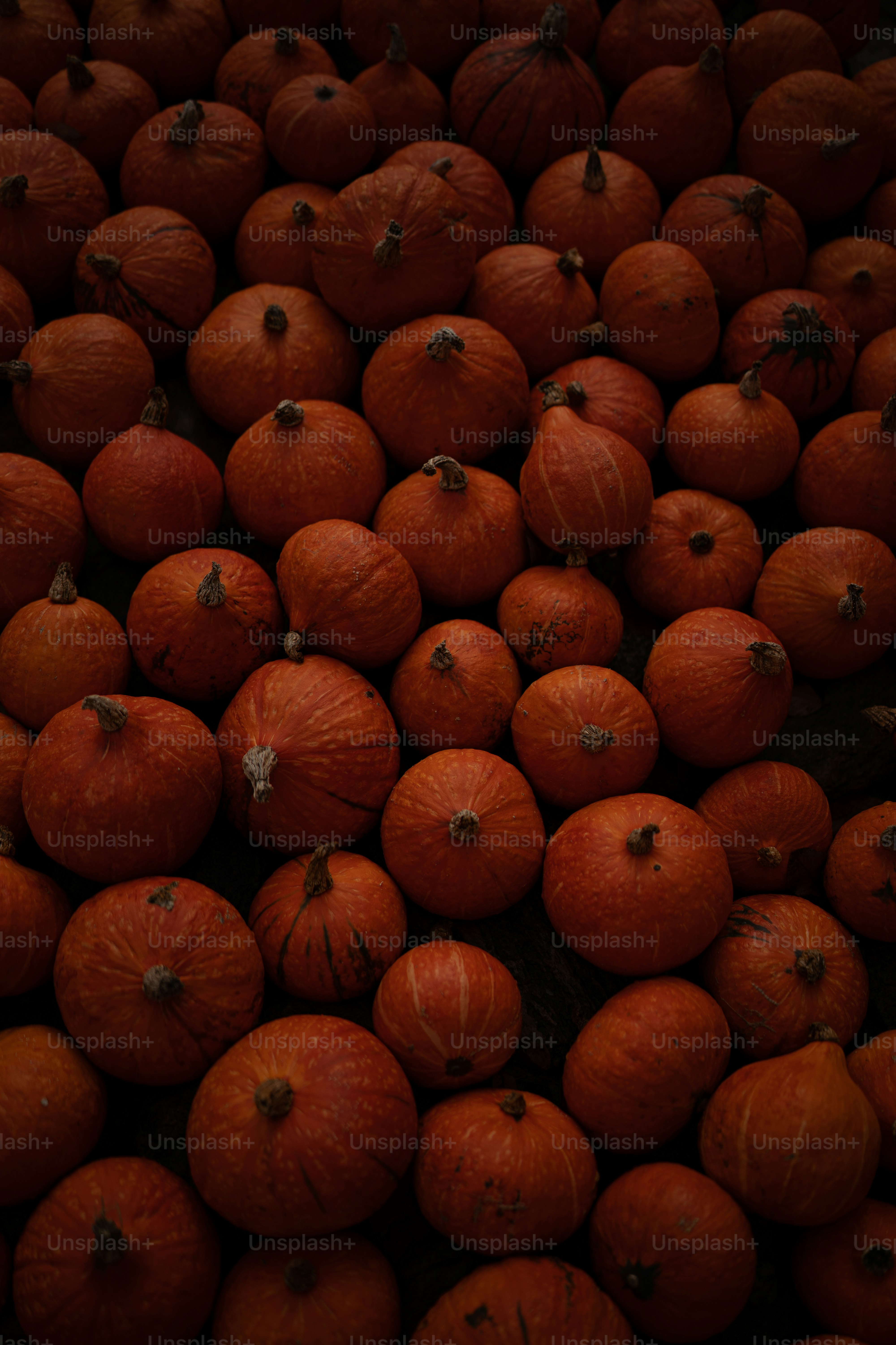 a pile of oranges sitting on top of each other