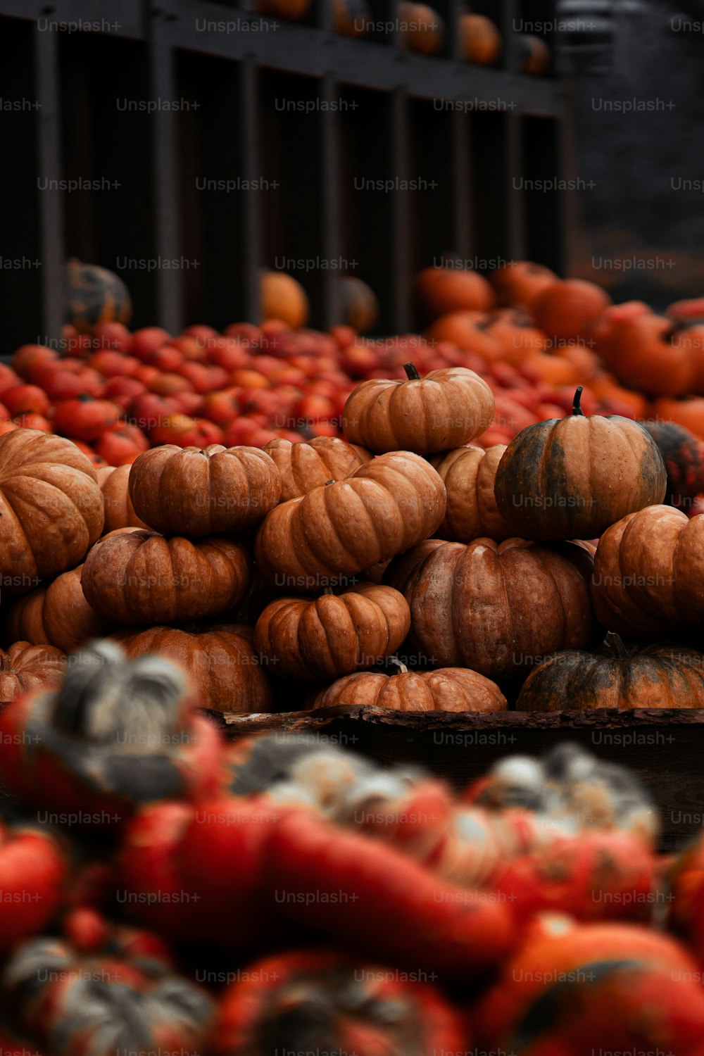 un tas de citrouilles assises les unes sur les autres