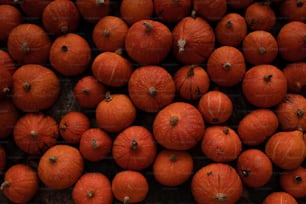 ein Haufen Orangen, die nebeneinander sitzen