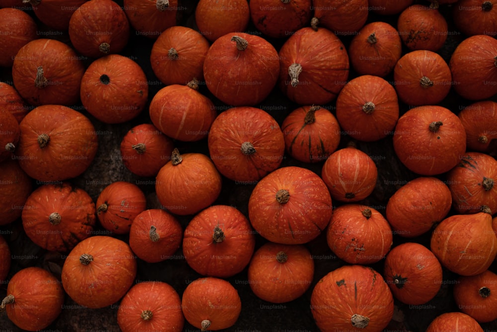 a pile of oranges sitting next to each other