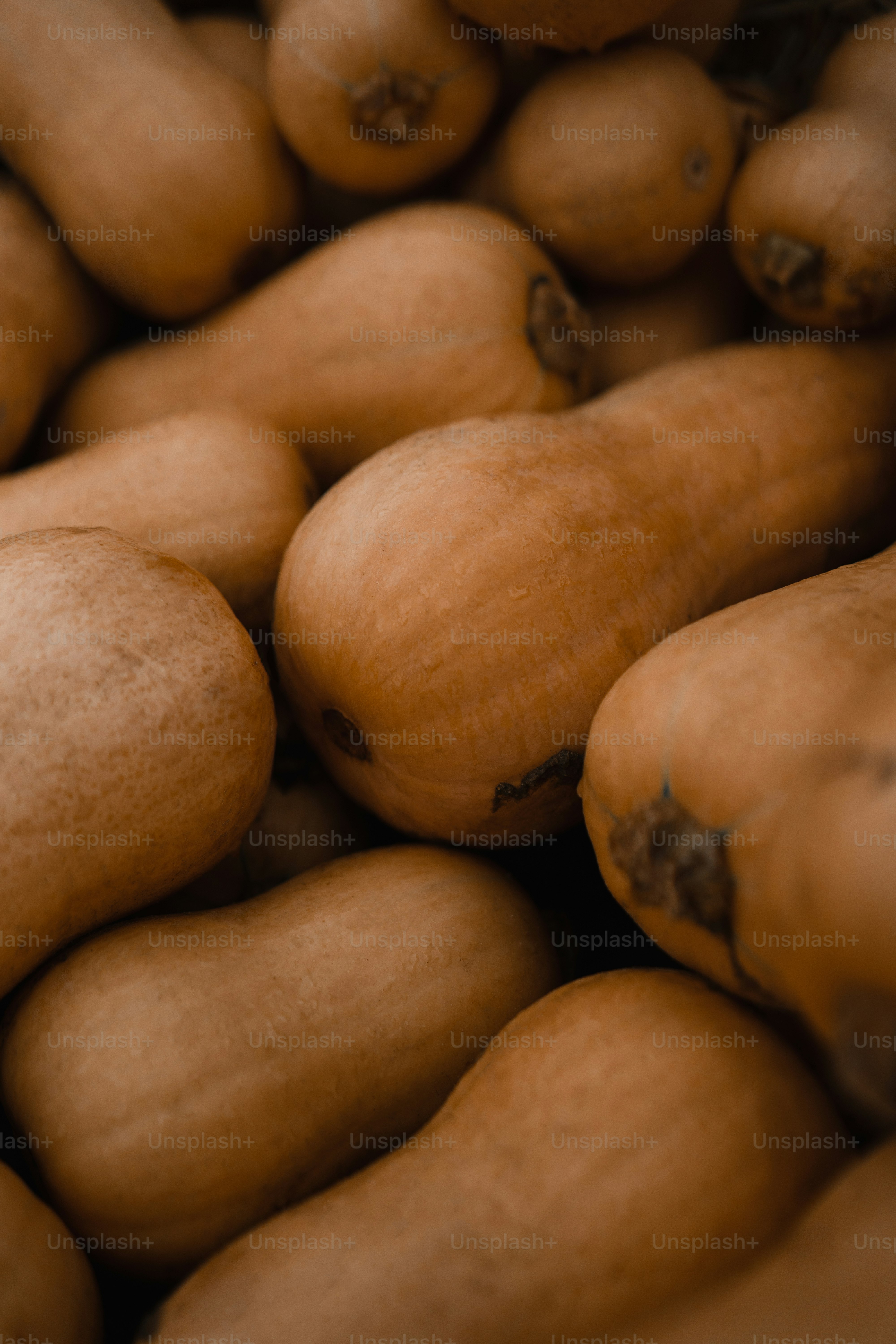 a pile of butternut squash