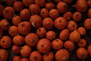 un mazzo di arance che giacciono a terra