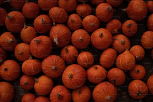 a bunch of oranges that are laying on the ground