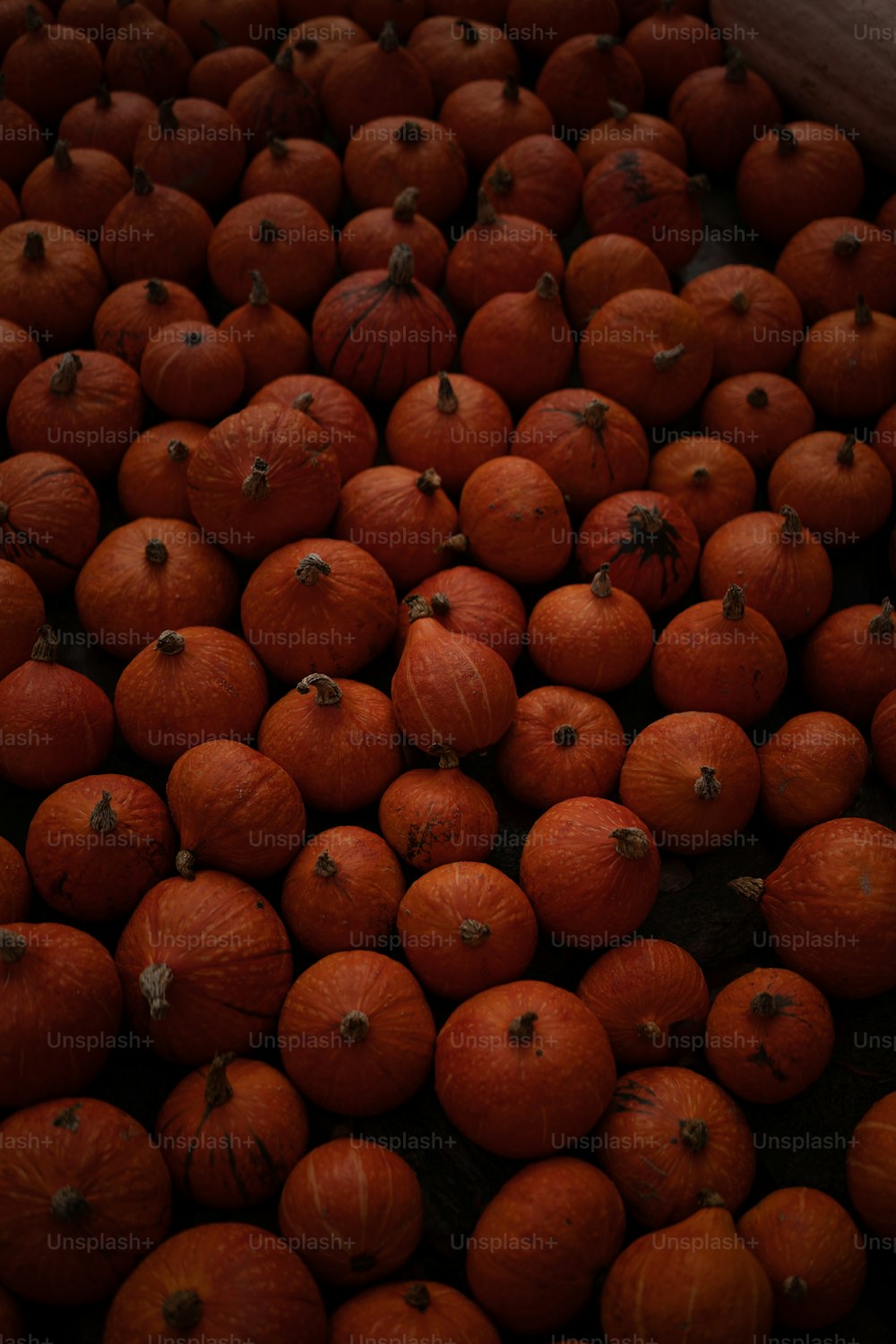a pile of oranges sitting on top of a table