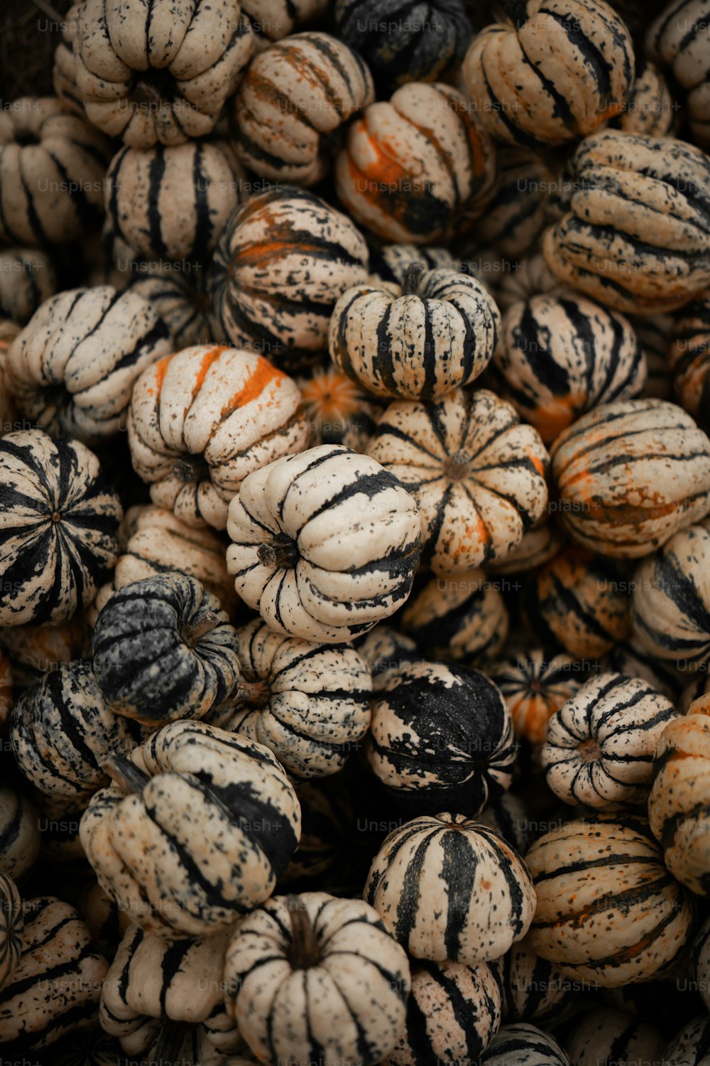 a pile of black and white striped fruit
