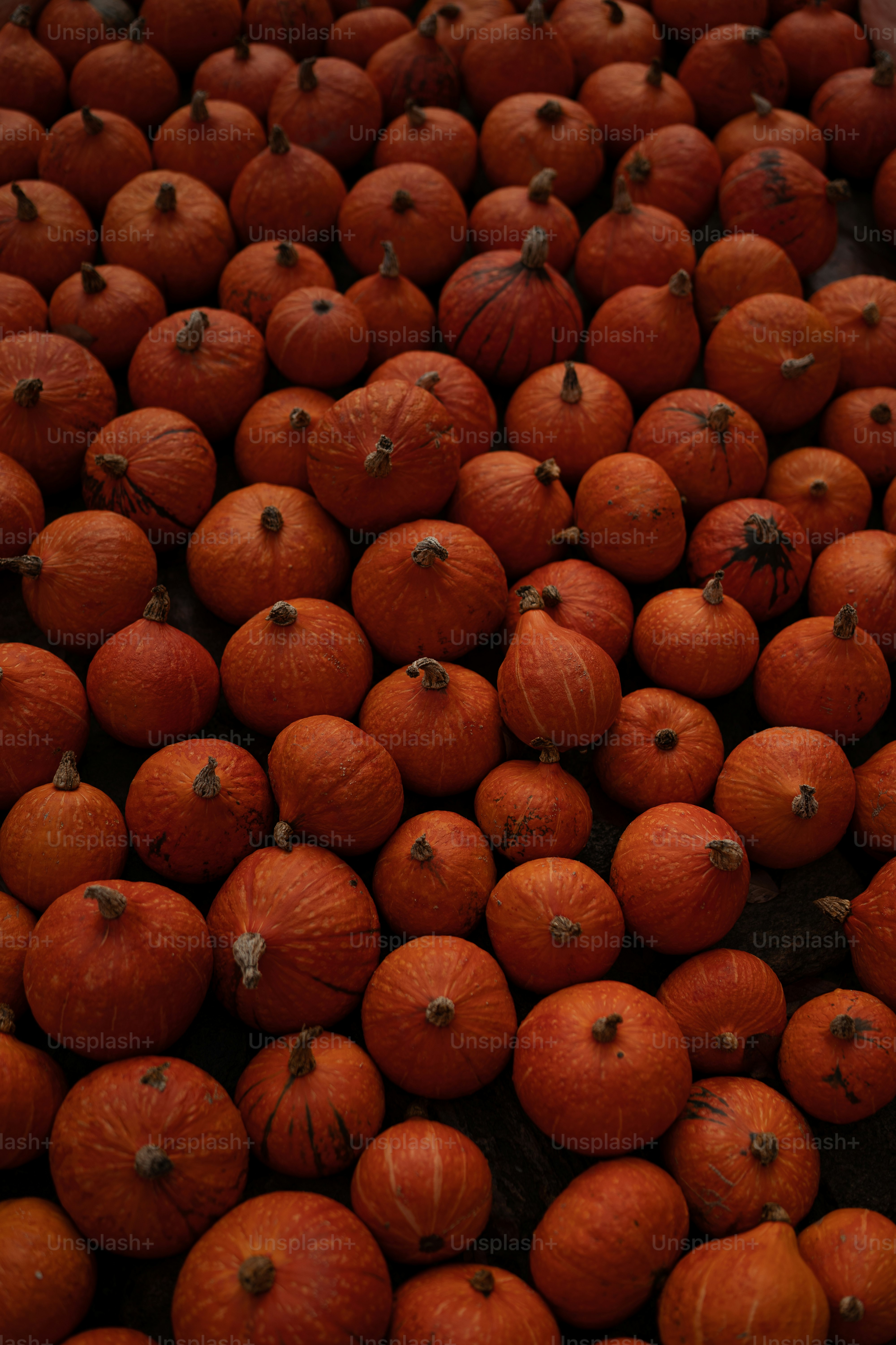 a pile of oranges sitting on top of each other