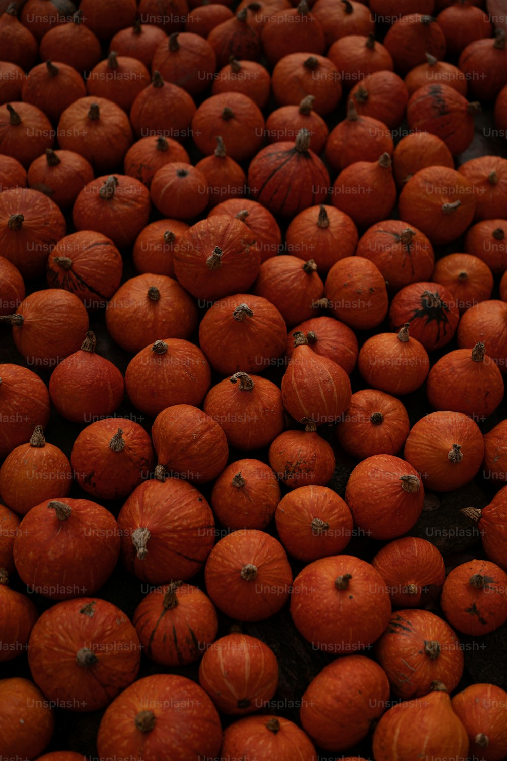 a pile of oranges sitting on top of each other
