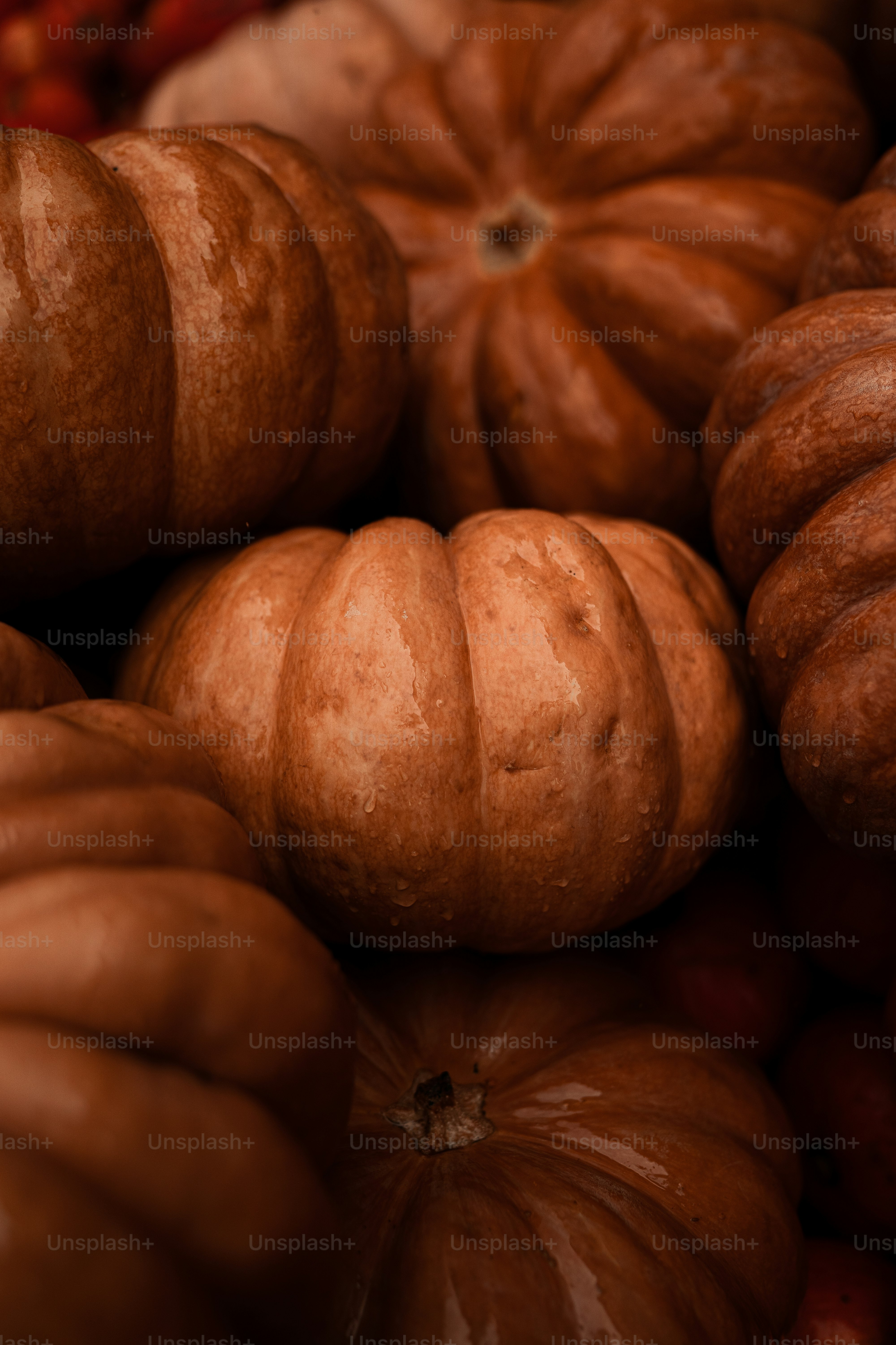 a pile of pumpkins sitting next to each other