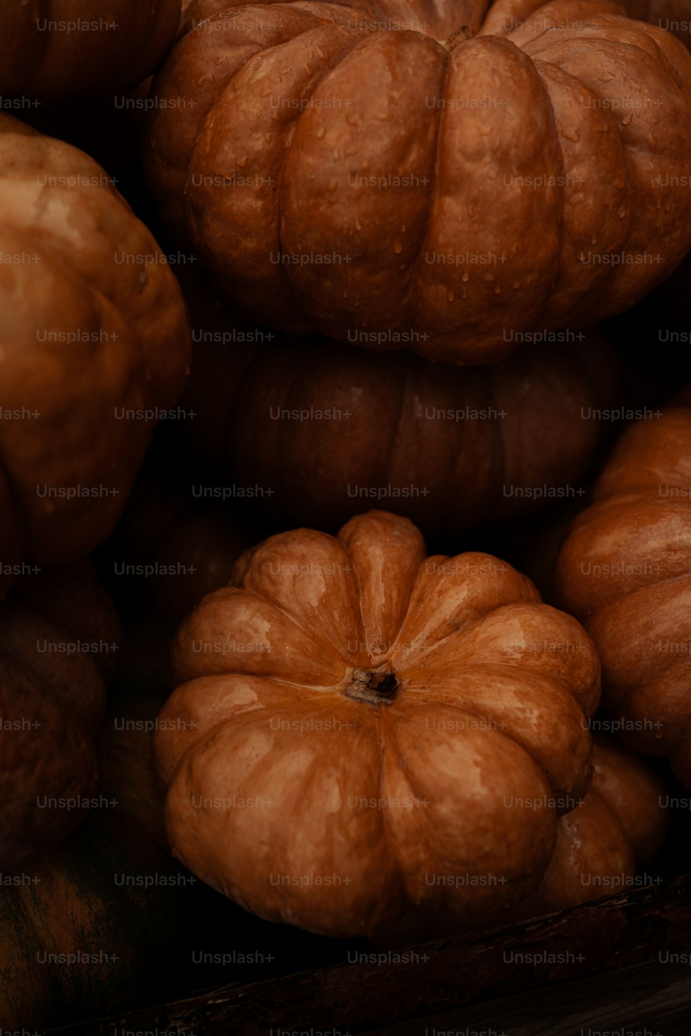 a bunch of pumpkins stacked on top of each other