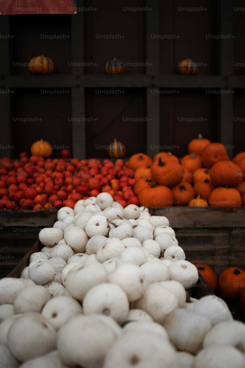 uma pilha de cogumelos brancos sentada ao lado de uma pilha de abóboras laranjas