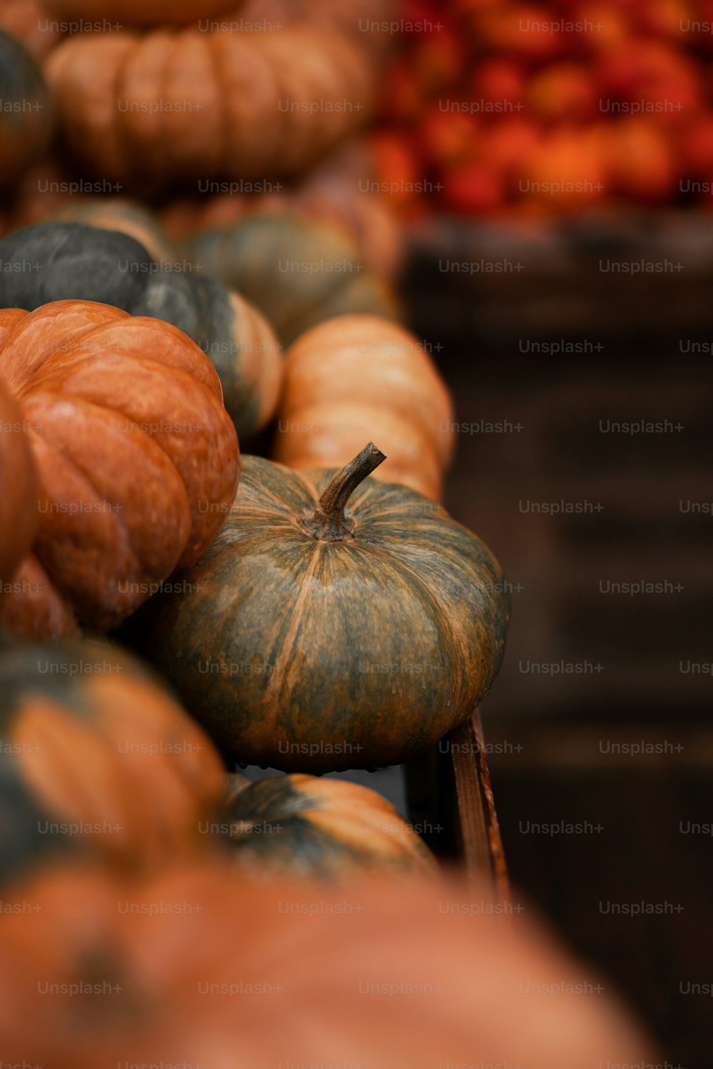a pile of pumpkins sitting next to each other
