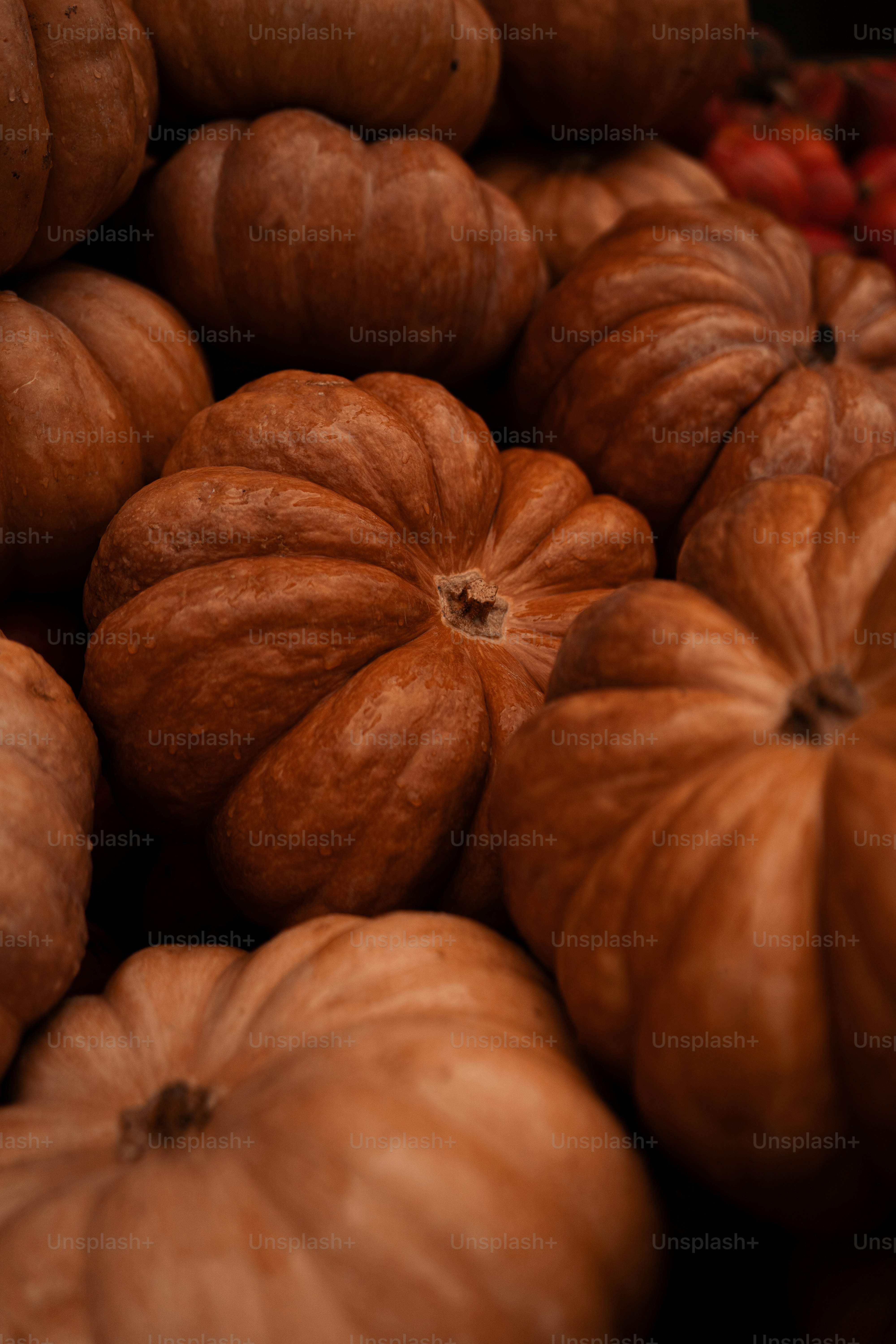 a pile of pumpkins sitting next to each other