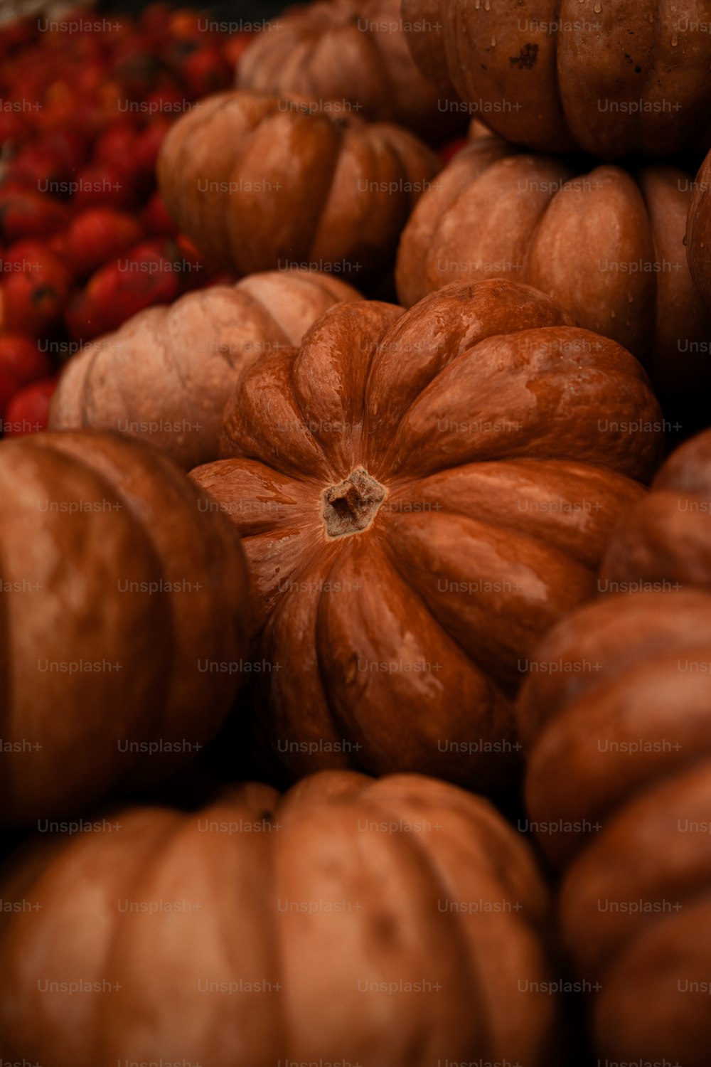 a pile of pumpkins sitting next to a pile of strawberries