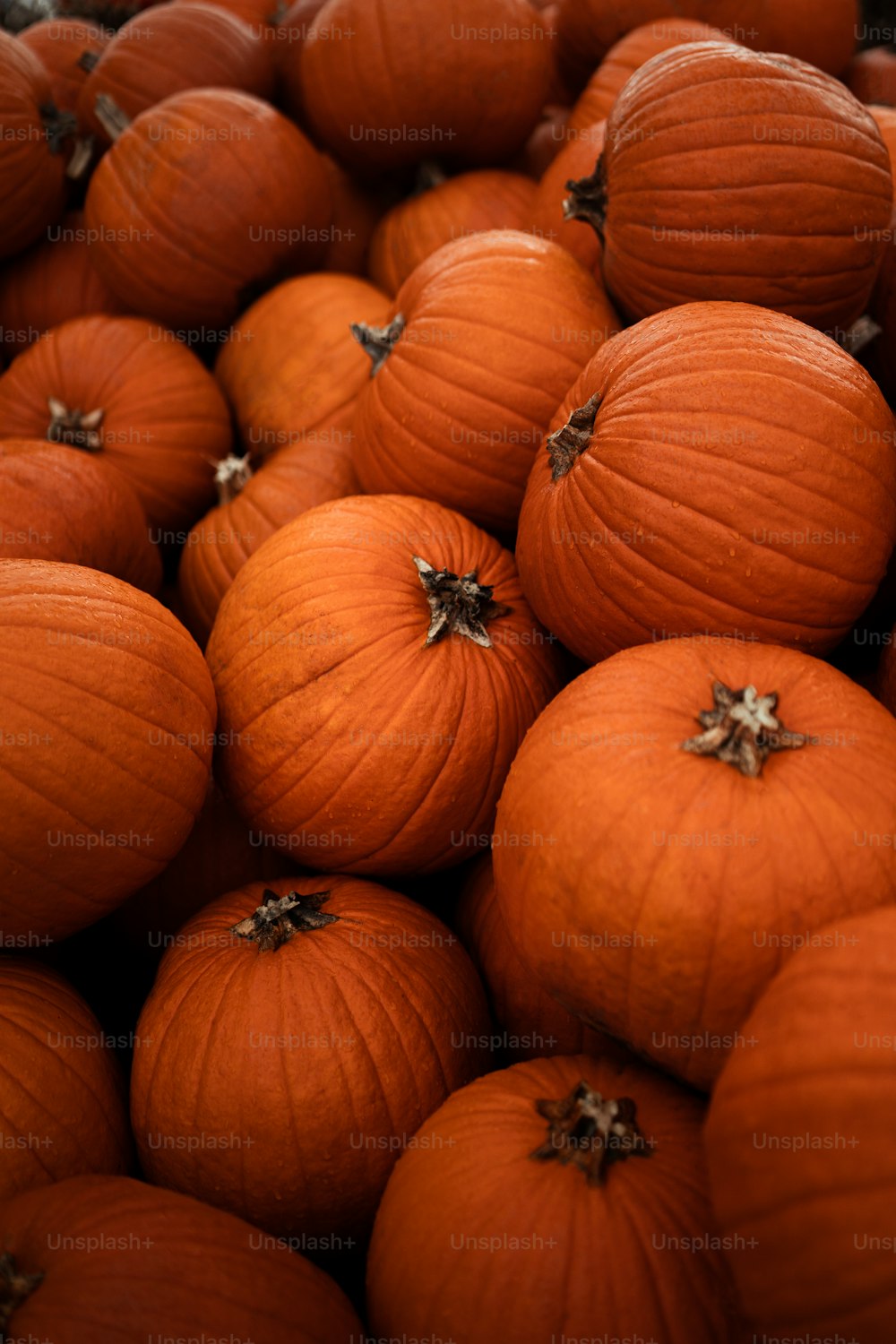 a pile of orange pumpkins sitting on top of each other