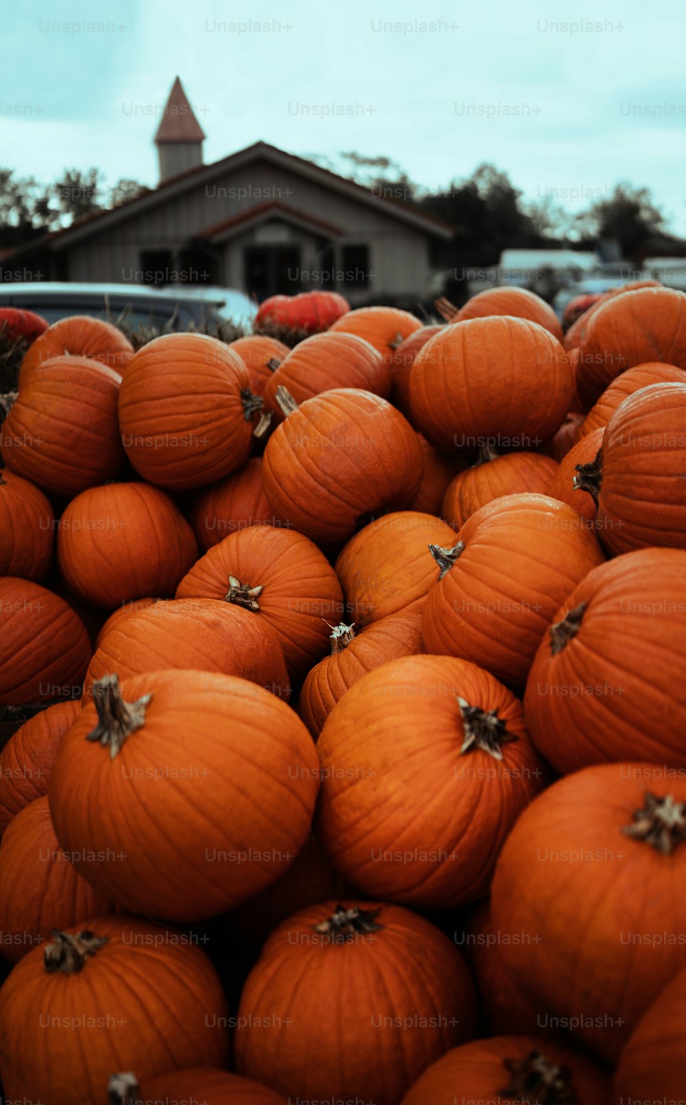 a pile of pumpkins sitting on top of each other