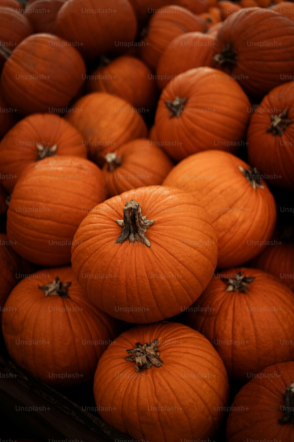 a pile of orange pumpkins sitting on top of each other