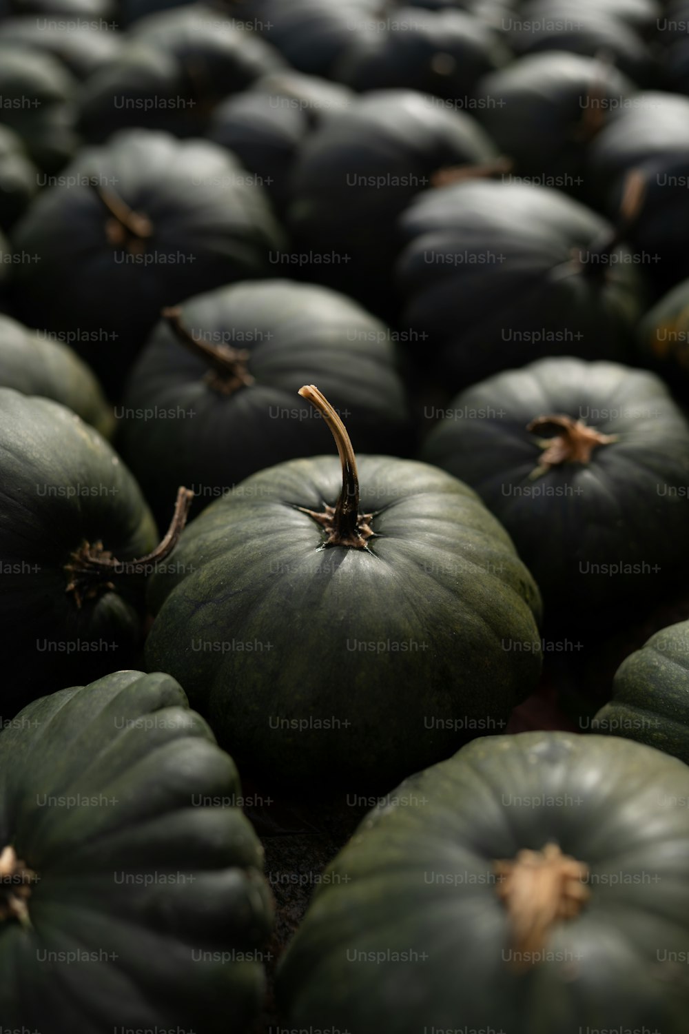 a group of green pumpkins sitting on top of each other