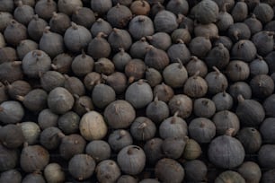 a bunch of fruit that is sitting on a table