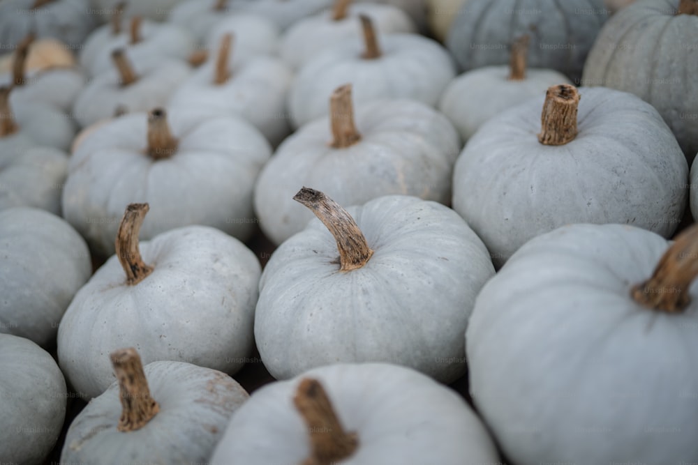 a large group of white pumpkins sitting on top of each other