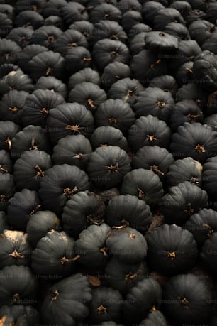a large group of black fruit sitting on top of each other