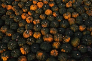 a large pile of pumpkins sitting next to each other